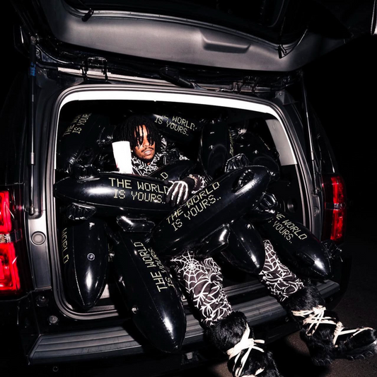 Blimp "The World Is Yours"