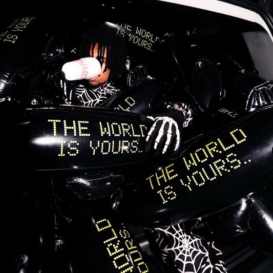 BLIMP "THE WORLD IS YOURS"